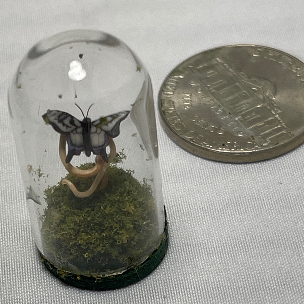 Unbranded Miniature Butterfly Glass Dome Cloche Pale Swallowtail Tiny Diorama